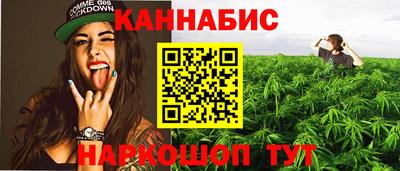 спиды Гатчина