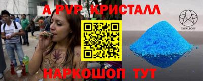спиды Гатчина
